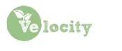 Velocity Online Logo